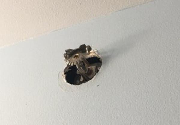 Fire Sprinkler with No Escutcheon Fire Sprinkler with No Escutcheon