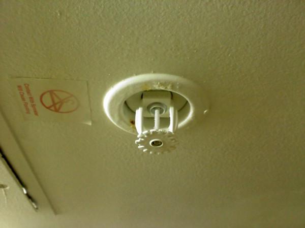 A Painted Fire Sprinkler
